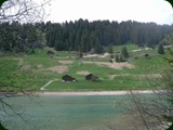 wfs-brigels21