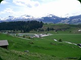 wfs-brigels60
