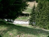wfs-brigels68