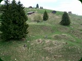 wfs-brigels71