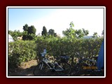 Ferien 2016 016