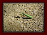 Ferien 2016 078