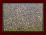 Herbst2019-012
