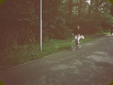 Holland-020