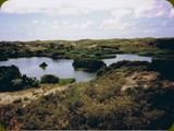 Holland-064