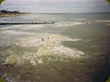 Holland-071