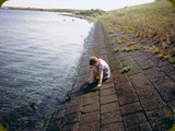 Holland-136