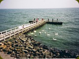Holland-154