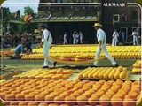 Holland-173