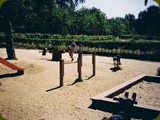 Holland-214
