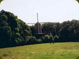 Holland-216