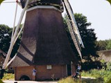 Holland-217