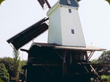 Holland-226