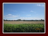 holland-012