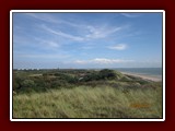holland-100
