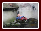 holland-162