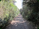 italien-164