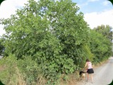 italien-167