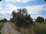 italien-174