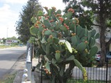 italien-039