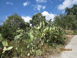 italien-067
