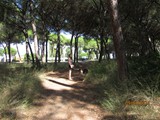 italien-215