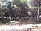 italien-216