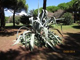 italien-285