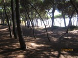 italien-300