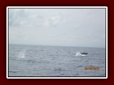 Italreise2018-0574