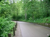 neuswanstein-024