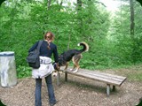 neuswanstein-025