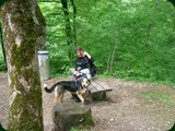 neuswanstein-026
