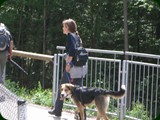 neuswanstein-043