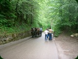 neuswanstein-052