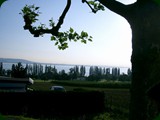 neuswanstein-082