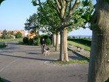 neuswanstein-092