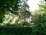 neuswanstein-107
