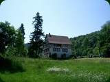 neuswanstein-108