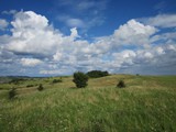 ostsee-076