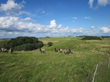 ostsee-090