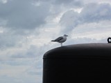 ostsee-152