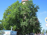 ostsee-227