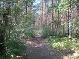ostsee-288