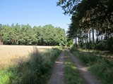 ostsee-289