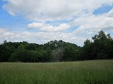 pfingsten-23