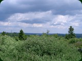 n-schwarzwald-073