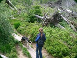 n-schwarzwald-079