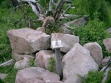 n-schwarzwald-084