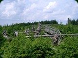 n-schwarzwald-085